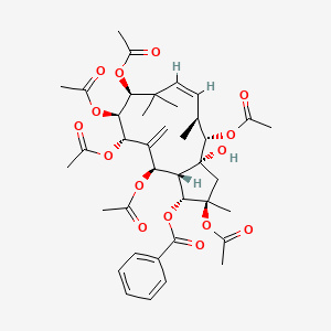 molecular formula C39H50O15 B12398877 [(1R,2R,3aR,4S,5S,6Z,9S,10S,11S,13R,13aS)-2,4,9,10,11,13-hexaacetyloxy-3a-hydroxy-2,5,8,8-tetramethyl-12-methylidene-3,4,5,9,10,11,13,13a-octahydro-1H-cyclopenta[12]annulen-1-yl] benzoate 