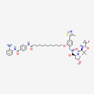 molecular formula C51H66FN7O7S B12398930 (2S,4R)-N-[[2-[12-[4-[(2-aminophenyl)carbamoyl]anilino]-12-oxododecoxy]-4-(4-methyl-1,3-thiazol-5-yl)phenyl]methyl]-1-[(2S)-2-[(1-fluorocyclopropanecarbonyl)amino]-3,3-dimethylbutanoyl]-4-hydroxypyrrolidine-2-carboxamide 