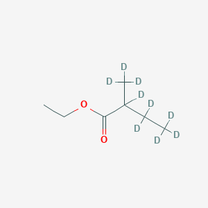 molecular formula C7H14O2 B12399081 Ethyl 2-methylbutanoate-d9 