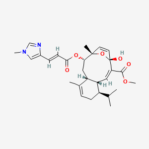 molecular formula C28H36N2O6 B1239924 Sarcodictyin A 