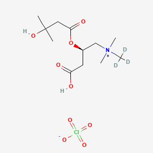 molecular formula C12H24ClNO9 B12399427 [(2R)-3-carboxy-2-(3-hydroxy-3-methylbutanoyl)oxypropyl]-dimethyl-(trideuteriomethyl)azanium;perchlorate 