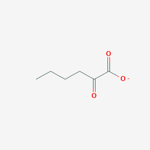 molecular formula C6H9O3- B1239944 2-氧代己酸 