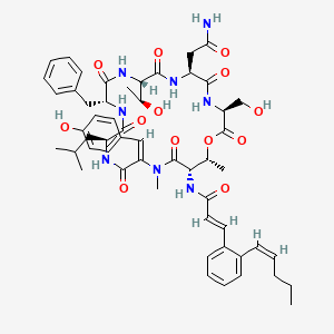 molecular formula C54H68N8O13 B1239986 (E)-N-[(3S,6S,9S,12R,15S,18E,21S,22R)-6-(2-氨基-2-氧代乙基)-12-苄基-9-[(1S)-1-羟乙基]-3-(羟甲基)-18-[(4-羟苯基)亚甲基]-19,22-二甲基-15-(2-甲基丙基)-2,5,8,11,14,17,20-七氧代-1-氧杂-4,7,10,13,16,19-六氮杂环二十二-21-基]-3-[2-[(Z)-戊-1-烯基]苯基]丙-2-烯酰胺 