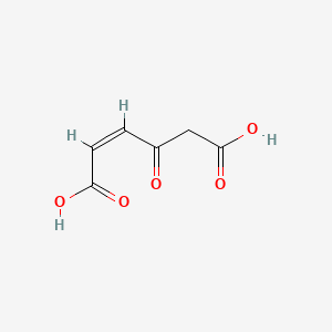 molecular formula C6H6O5 B1239994 4-Oxohex-2-enedioate CAS No. 24740-88-3