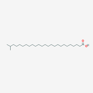 molecular formula C26H52O2 B1239999 24-甲基二十五烷酸 