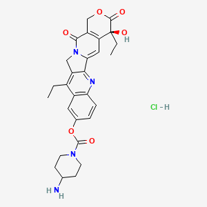 molecular formula C28H31ClN4O6 B12400460 [(19S)-10,19-diethyl-19-hydroxy-14,18-dioxo-17-oxa-3,13-diazapentacyclo[11.8.0.02,11.04,9.015,20]henicosa-1(21),2,4(9),5,7,10,15(20)-heptaen-7-yl] 4-aminopiperidine-1-carboxylate;hydrochloride 