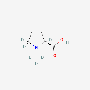 molecular formula C6H11NO2 B12400799 N-Methyl-D3-D-proline-2,5,5-D3 