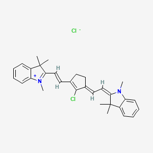 molecular formula C31H34Cl2N2 B12400803 IR-797 (chloride) 