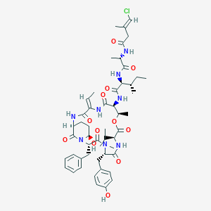 molecular formula C51H69ClN8O12 B12400860 Tutuilamide A 