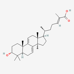 molecular formula C30H46O3 B12400876 Lanosta-7,9(11),24-trien-3|A-hydroxy-26-oic acid 