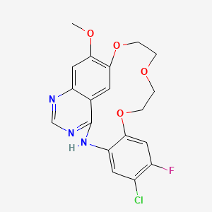 molecular formula C19H17ClFN3O4 B12400985 Egfr-IN-73 