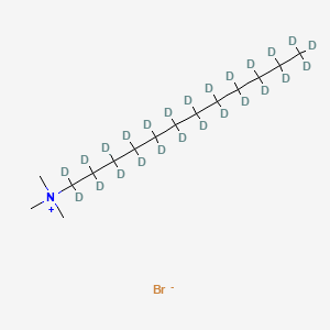 molecular formula C15H34BrN B12401185 Dodecyltrimethylammonium-d25 (bromide) 