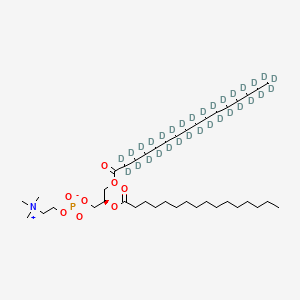 1-Palmitoyl-2-palmitoyl-sn-glycero-3-phosphocholine-d31