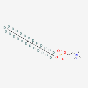 Dodecylphosphocholine-d25