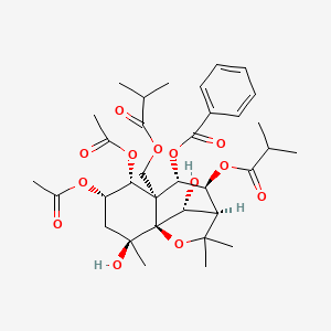 molecular formula C34H46O13 B12401592 Angulatin A 