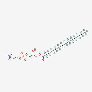 1-Myristoyl-d27-sn-glycero-3-phosphocholine