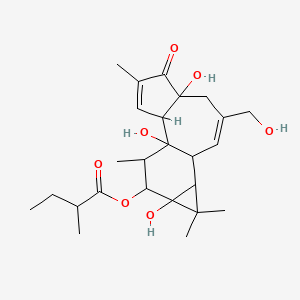 molecular formula C25H36O7 B12401829 (Rac)-Phorbol-12-(2-methylbutyrate) 