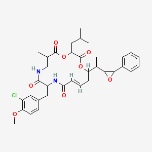 molecular formula C35H43ClN2O8 B1240208 (13E)-10-[(3-chloro-4-methoxyphenyl)methyl]-6-methyl-3-(2-methylpropyl)-16-[1-(3-phenyloxiran-2-yl)ethyl]-1,4-dioxa-8,11-diazacyclohexadec-13-ene-2,5,9,12-tetrone 