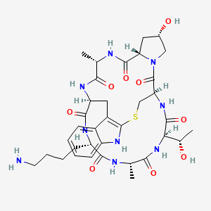 (Lys7)-Phalloidin