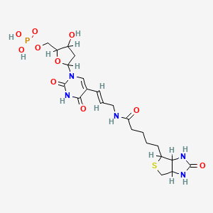 molecular formula C22H32N5O10PS B1240242 5-(N-Biotinyl-3-aminoallyl)uridine 5'-monophosphate CAS No. 97950-37-3