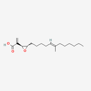 molecular formula C18H30O3 B1240290 Conocandin CAS No. 61371-61-7
