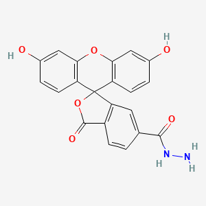 3',6'-Dihydroxy-1-oxospiro[2-benzofuran-3,9'-xanthene]-5-carbohydrazide