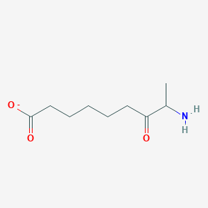 molecular formula C9H16NO3- B1240340 8-amino-7-oxononanoate 