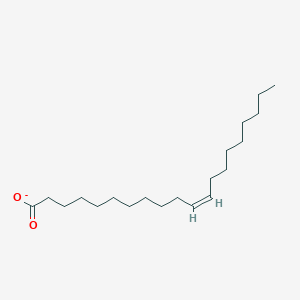 molecular formula C20H37O2- B1240343 Gondoate 