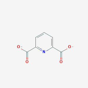 molecular formula C7H3NO4-2 B1240393 Pyridine-2,6-dicarboxylate 