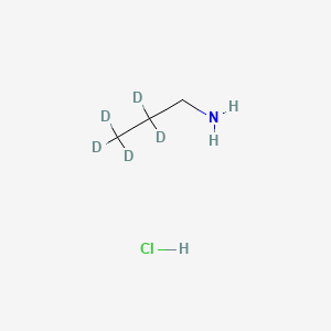 molecular formula C3H10ClN B12403969 Propan-1-amine-d5 hydrochloride 