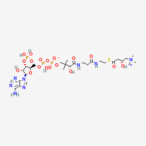 molecular formula C28H49N8O18P3S B1240407 (R)-carnitinyl-CoA betaine 