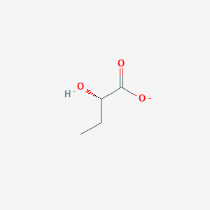 molecular formula C4H7O3- B1240474 (S)-2-羟基丁酸 