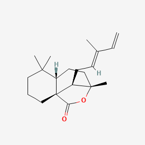 12E,14-Labdadien-20,8beta-olide