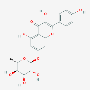 B124050 Kaempferol-7-rhamnoside CAS No. 20196-89-8