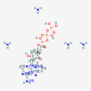 molecular formula C10H28N9O12P3 B12405109 2'-Deoxyadenosine-5'-triphosphate-13C10,15N5 (tetraammonia) 