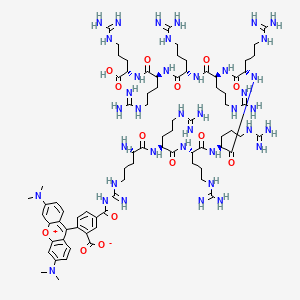 molecular formula C79H130N38O14 B12405287 (Arg)9,TAMRA-labeled 