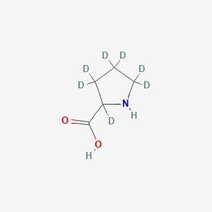 molecular formula C5H9NO2 B12405455 H-DL-Pro-OH-d7 