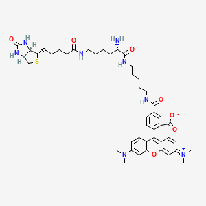 molecular formula C46H60N8O7S B12405973 TMR Biocytin 