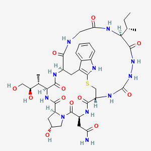 molecular formula C38H53N11O12S B12406005 2-[(1R,4S,8R,10S,13S,16R,34S)-34-[(2S)-butan-2-yl]-13-[(2R,3R)-3,4-dihydroxybutan-2-yl]-8-hydroxy-2,5,11,14,30,33,36,39-octaoxo-27-thia-3,6,12,15,25,29,31,32,35,38-decazapentacyclo[14.12.11.06,10.018,26.019,24]nonatriaconta-18(26),19,21,23-tetraen-4-yl]acetamide 