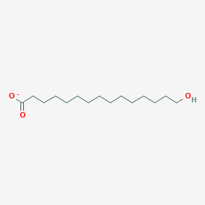 molecular formula C15H29O3- B1240629 15-羟基十五烷酸 