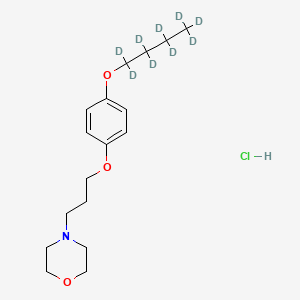 molecular formula C17H28ClNO3 B12406303 Pramocaine-d9 (hydrochloride) 