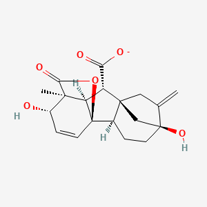molecular formula C19H21O6- B1240632 Gibberellin A3 