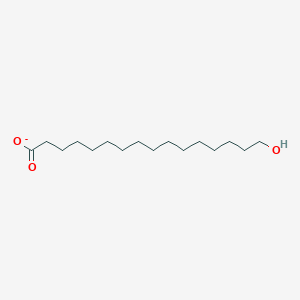 molecular formula C16H31O3- B1240633 16-Hydroxypalmitate 