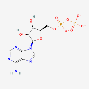 molecular formula C10H12N5O10P2-3 B1240645 二磷酸腺苷 