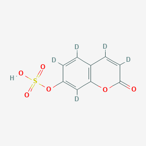 7-Hydroxycoumarin sulfate-d5