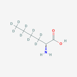 molecular formula C6H13NO2 B12406549 D-Norleucine-d9 