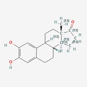 2-Hydroxyestrone-13C6