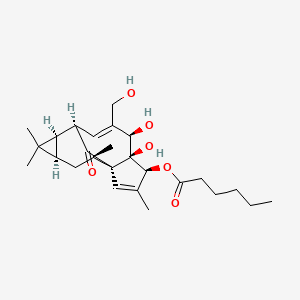 molecular formula C26H38O6 B12407778 [(1S,4S,5S,6R,9R,10R,12R,14R)-5,6-dihydroxy-7-(hydroxymethyl)-3,11,11,14-tetramethyl-15-oxo-4-tetracyclo[7.5.1.01,5.010,12]pentadeca-2,7-dienyl] hexanoate 