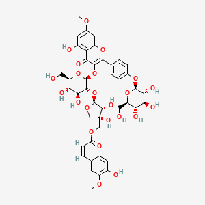 molecular formula C43H48O23 B12407783 [(3S,4R,5S)-5-[(2S,3R,4S,5S,6R)-4,5-dihydroxy-2-[5-hydroxy-7-methoxy-4-oxo-2-[4-[(2S,3R,4S,5S,6R)-3,4,5-trihydroxy-6-(hydroxymethyl)oxan-2-yl]oxyphenyl]chromen-3-yl]oxy-6-(hydroxymethyl)oxan-3-yl]oxy-3,4-dihydroxyoxolan-3-yl]methyl (Z)-3-(4-hydroxy-3-methoxyphenyl)prop-2-enoate 