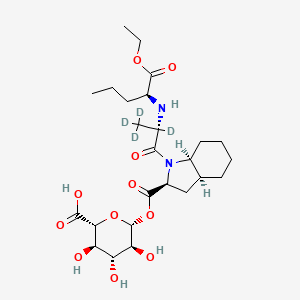 molecular formula C25H40N2O11 B12407821 Perindopril-d4 Acyl-|A-D-glucuronide 